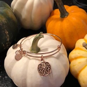 Alex and Ani bracelet